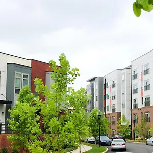 Modern 1bd Studio Apt In Plaza Midwood With Community Pool Apartment