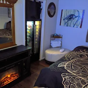 Turtles Spot Homestay Las Vegas